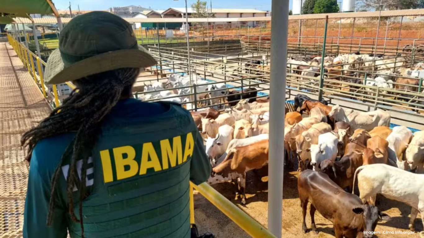 1.0309 - 2025-09-12T184141.518